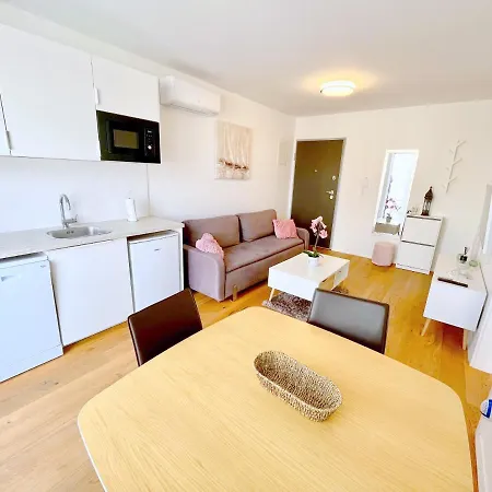 Luxury Ansi Apartment