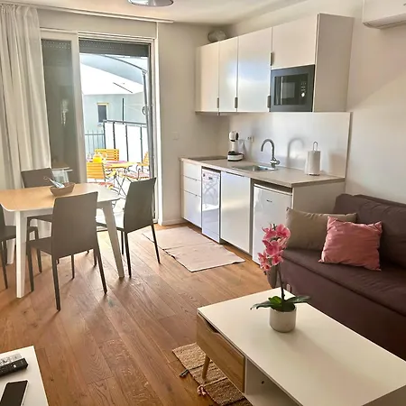 Luxury Ansi Apartment Murter
